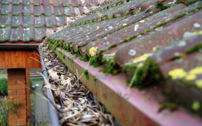 The impact of poorly maintained eavestroughs on your home’s foundation